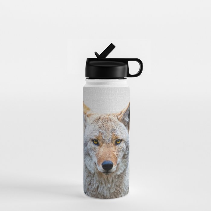 Coyote - Colorful Water Bottle Gallery Image 1