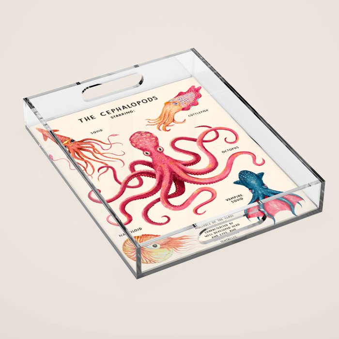 THE CEPHALOPODS Acrylic Tray Gallery Image 1