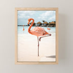 Pink Flamingo Beach Summer Photo | Aruba Tropical Island Art Print | Caribbean Travel Photography Mini Art Print Gallery Image 1