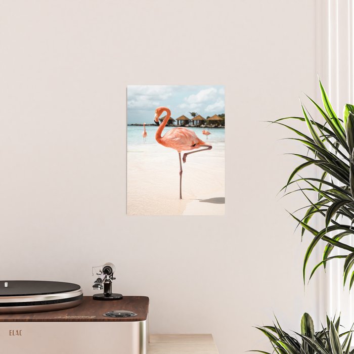 Pink Flamingo Beach Summer Photo | Aruba Tropical Island Art Print | Caribbean Travel Photography Poster Gallery Image 2