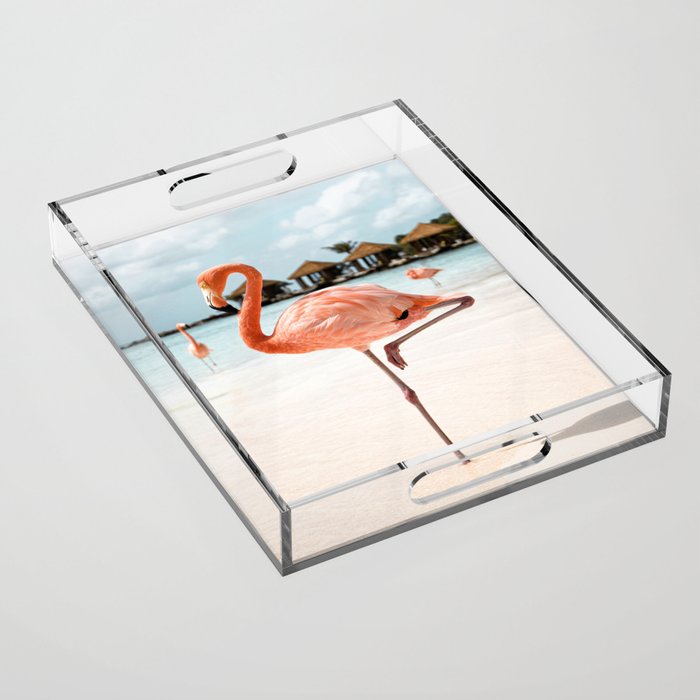 Pink Flamingo Beach Summer Photo | Aruba Tropical Island Art Print | Caribbean Travel Photography Acrylic Tray Gallery Image 1