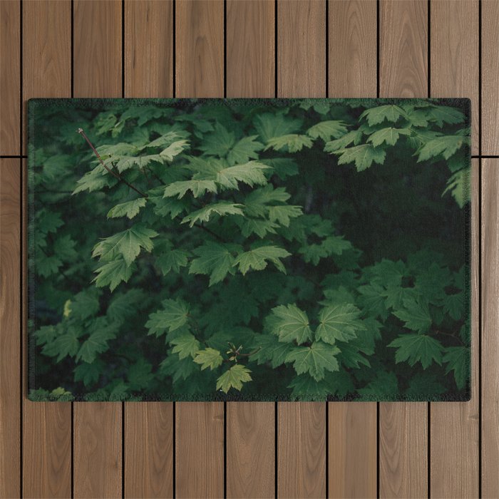 Some Greenery III Outdoor Rug Gallery Image 1