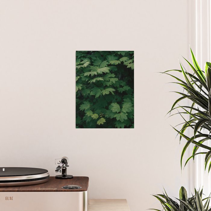 Some Greenery III Poster Gallery Image 2