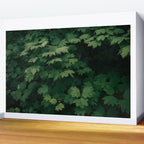 Some Greenery III Wall Mural Gallery Image 2