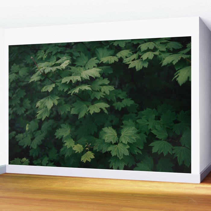 Some Greenery III Wall Mural Gallery Image 2