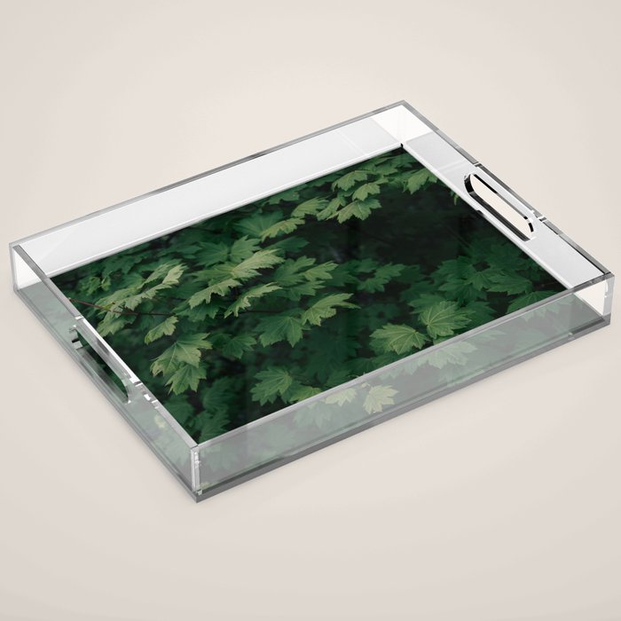 Some Greenery III Acrylic Tray Gallery Image 1