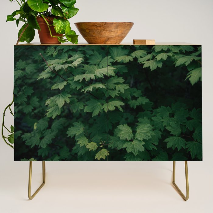 Some Greenery III Credenza Gallery Image 1