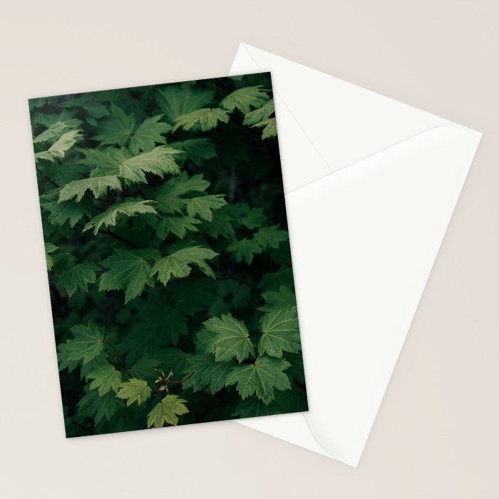 Some Greenery III Stationery Card Gallery Image 2