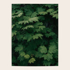 Some Greenery III Poster Gallery Image 4