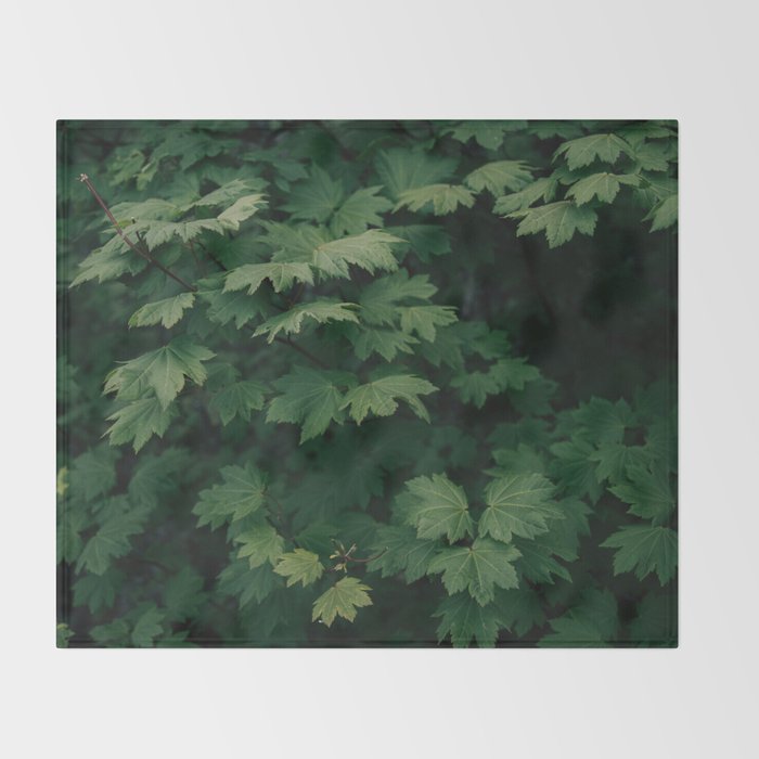 Some Greenery III Throw Blanket Gallery Image 2