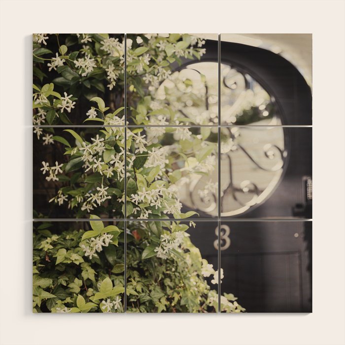 Charleston Courtyard, No. 1 x Charleston South Carolina Photography Wood Wall Art Gallery Image 1