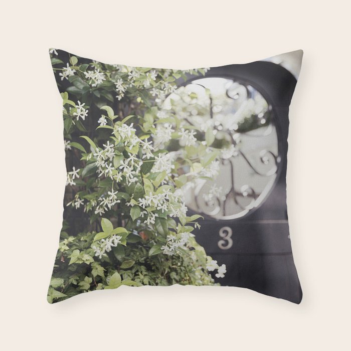 Charleston Courtyard, No. 1 x Charleston South Carolina Photography Throw Pillow Gallery Image 1