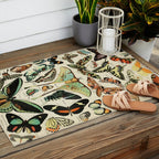 French Vintage Butterflies Chart Adolphe Millot Papillons Larousse Pour Tous Cozy Boho Maximalist Outdoor Rug Gallery Image 2