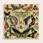 French Vintage Butterflies Chart Adolphe Millot Papillons Larousse Pour Tous Cozy Boho Maximalist Wood Wall Art Gallery Image 1