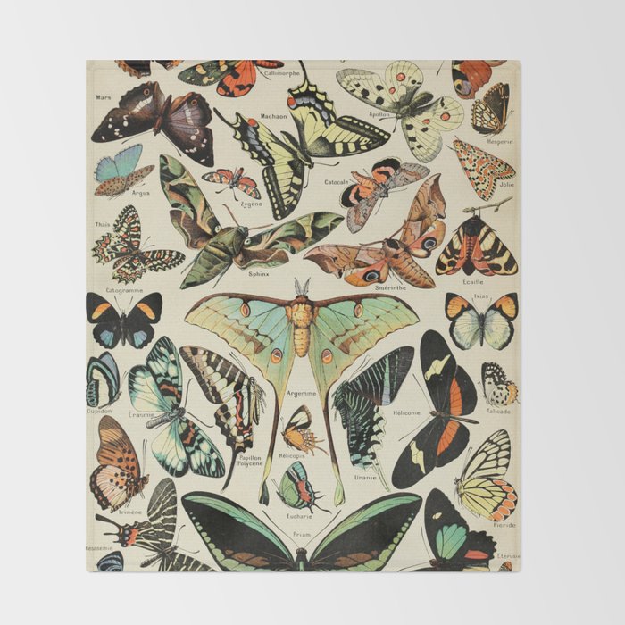 French Vintage Butterflies Chart Adolphe Millot Papillons Larousse Pour Tous Cozy Boho Maximalist Throw Blanket Gallery Image 2