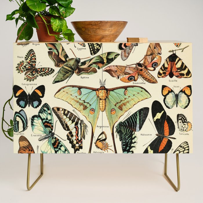 French Vintage Butterflies Chart Adolphe Millot Papillons Larousse Pour Tous Cozy Boho Maximalist Credenza Gallery Image 1