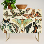 French Vintage Butterflies Chart Adolphe Millot Papillons Larousse Pour Tous Cozy Boho Maximalist Credenza Gallery Image 1
