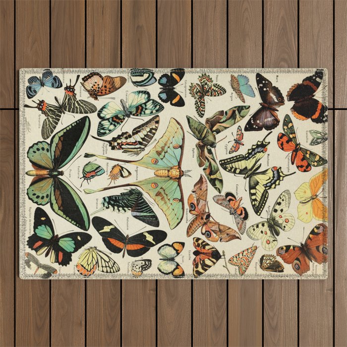 French Vintage Butterflies Chart Adolphe Millot Papillons Larousse Pour Tous Cozy Boho Maximalist Outdoor Rug Gallery Image 1