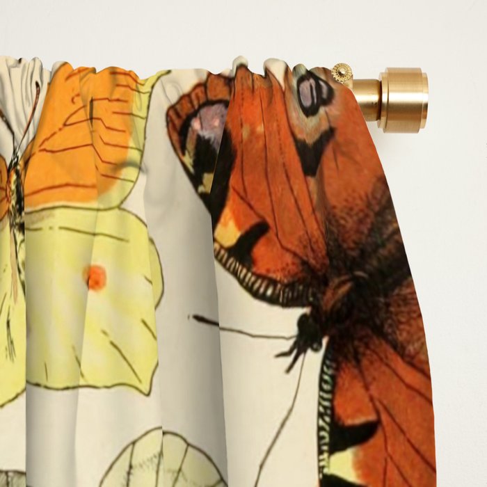 French Vintage Butterflies Chart Adolphe Millot Papillons Larousse Pour Tous Cozy Boho Maximalist Window Curtain Gallery Image 2