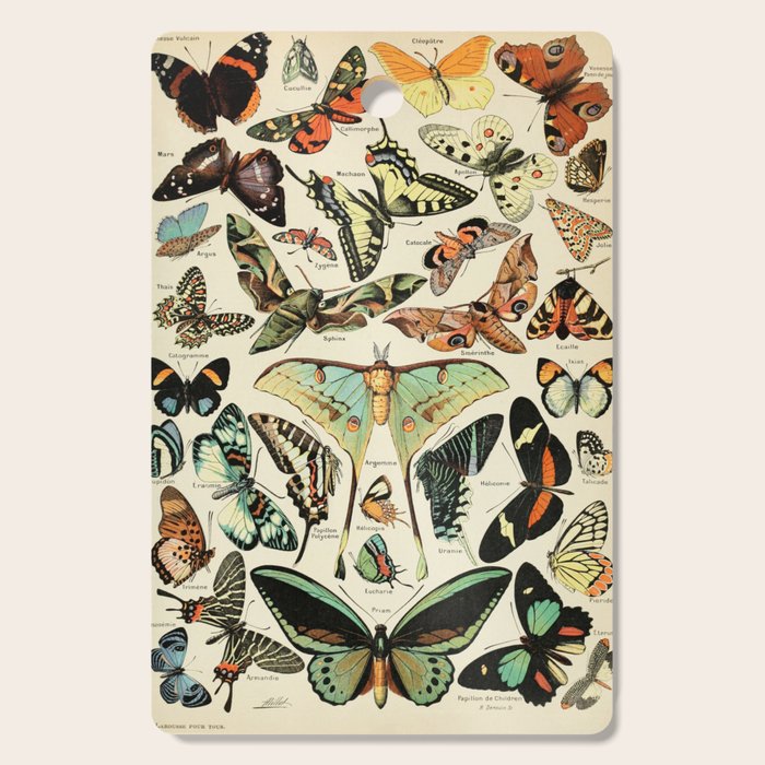 French Vintage Butterflies Chart Adolphe Millot Papillons Larousse Pour Tous Cozy Boho Maximalist Cutting Board Gallery Image 1