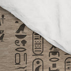 Egyptian hieroglyphs and symbols on wood Comforter Gallery Image 4