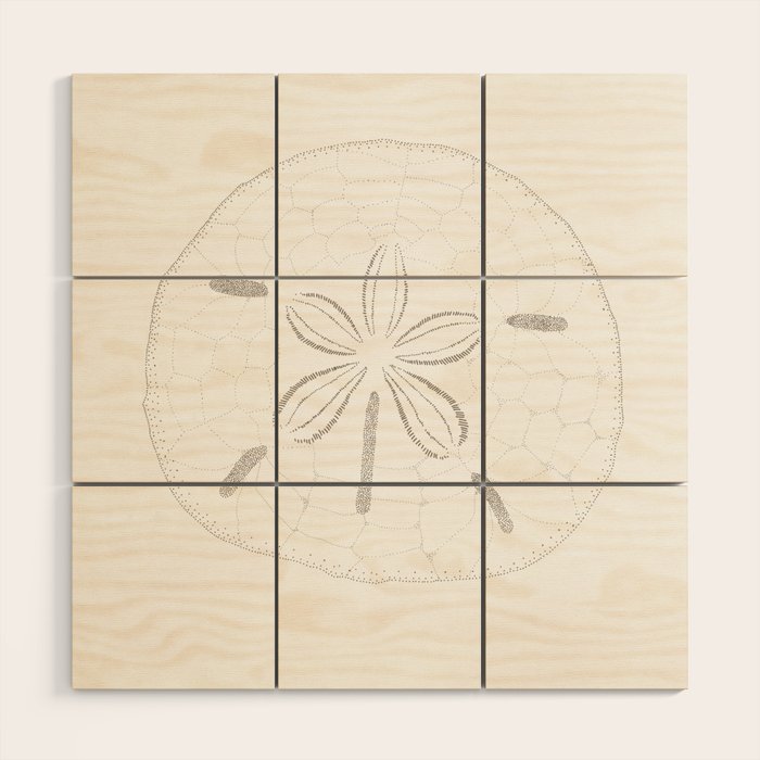 Sand Dollar Dreams - Brown on White Wood Wall Art Gallery Image 1