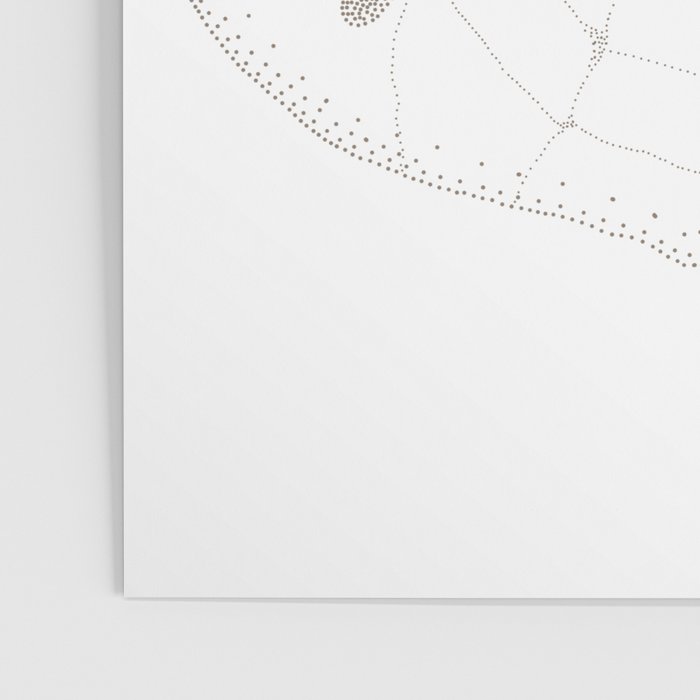 Sand Dollar Dreams - Brown on White Poster Gallery Image 3