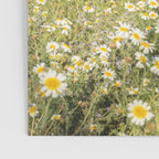 Horses in a Field of Wildflowers | Portugal Travel Art Print | Animal Photography in Europe Poster Gallery Image 3