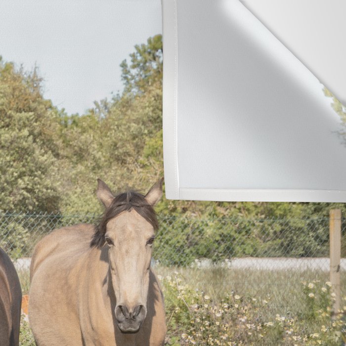 Horses in a Field of Wildflowers | Portugal Travel Art Print | Animal Photography in Europe Wall Tapestry Gallery Image 3
