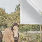 Horses in a Field of Wildflowers | Portugal Travel Art Print | Animal Photography in Europe Wall Tapestry Gallery Image 3