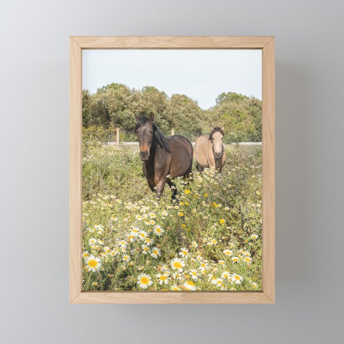 Horses in a Field of Wildflowers | Portugal Travel Art Print | Animal Photography in Europe Mini Art Print Gallery Image 1