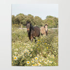 Horses in a Field of Wildflowers | Portugal Travel Art Print | Animal Photography in Europe Poster Gallery Image 4