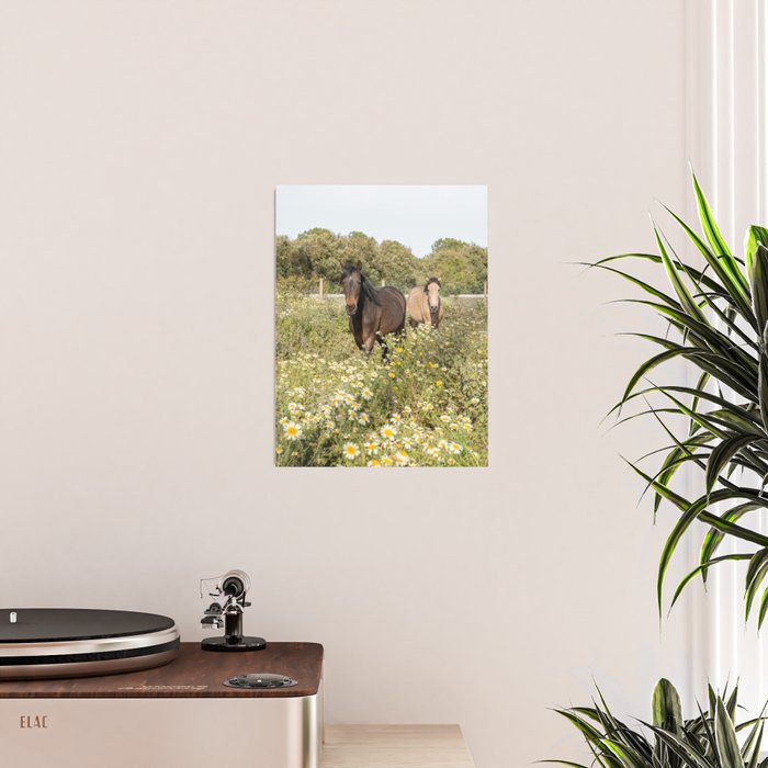 Horses in a Field of Wildflowers | Portugal Travel Art Print | Animal Photography in Europe Poster Gallery Image 2