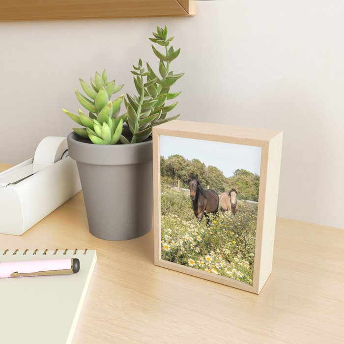 Horses in a Field of Wildflowers | Portugal Travel Art Print | Animal Photography in Europe Mini Art Print Gallery Image 2