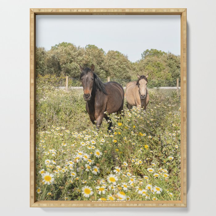 Horses in a Field of Wildflowers | Portugal Travel Art Print | Animal Photography in Europe Serving Tray Gallery Image 1