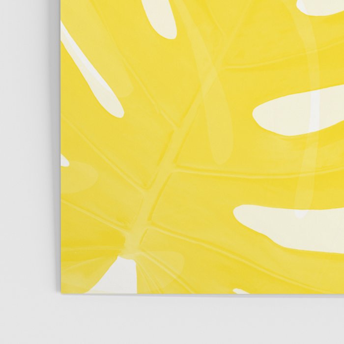 Mellow Yellow Monstera Leaves White Background #decor #society6 #buyart Poster Gallery Image 3
