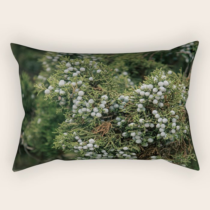 Juniper Rectangular Pillow Gallery Image 1