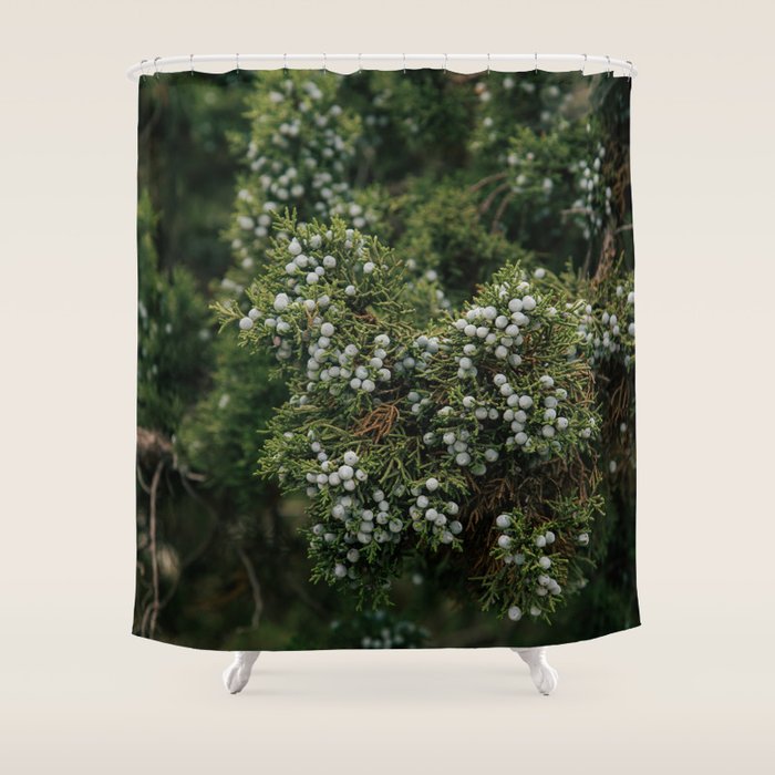 Juniper Shower Curtain Gallery Image 1