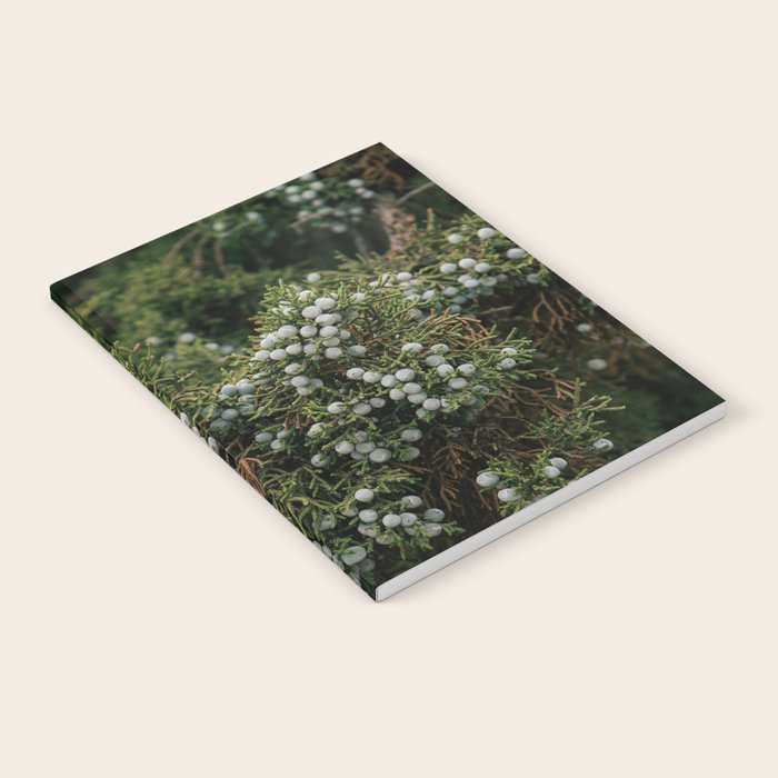 Juniper Notebook Gallery Image 2
