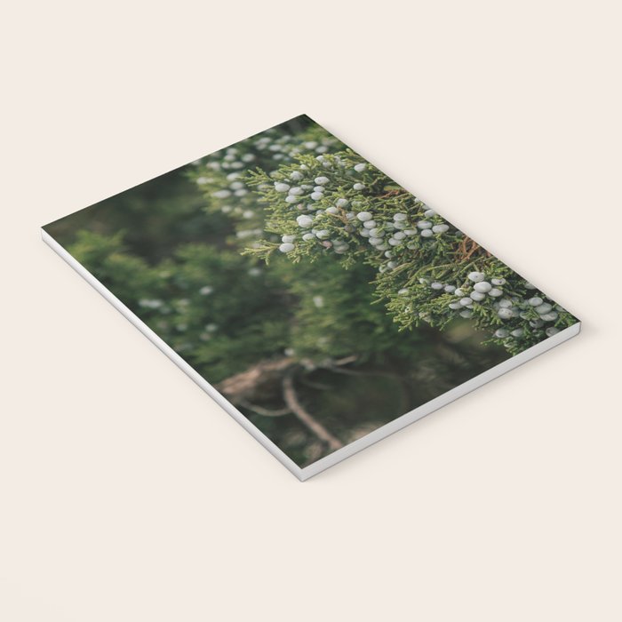 Juniper Notebook Gallery Image 3