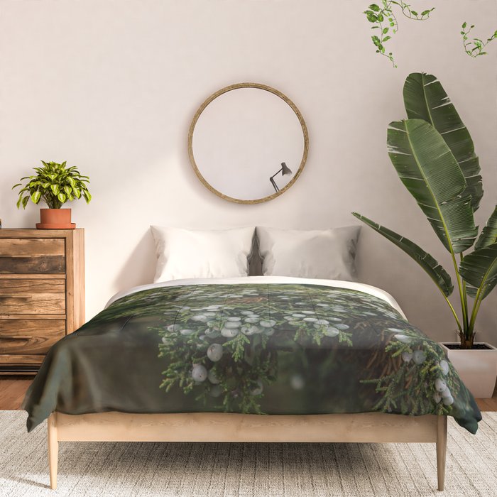 Juniper Comforter Gallery Image 3
