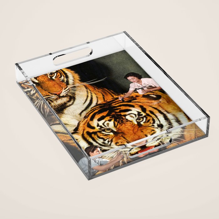 The Making of a Tiger Acrylic Tray Gallery Image 1
