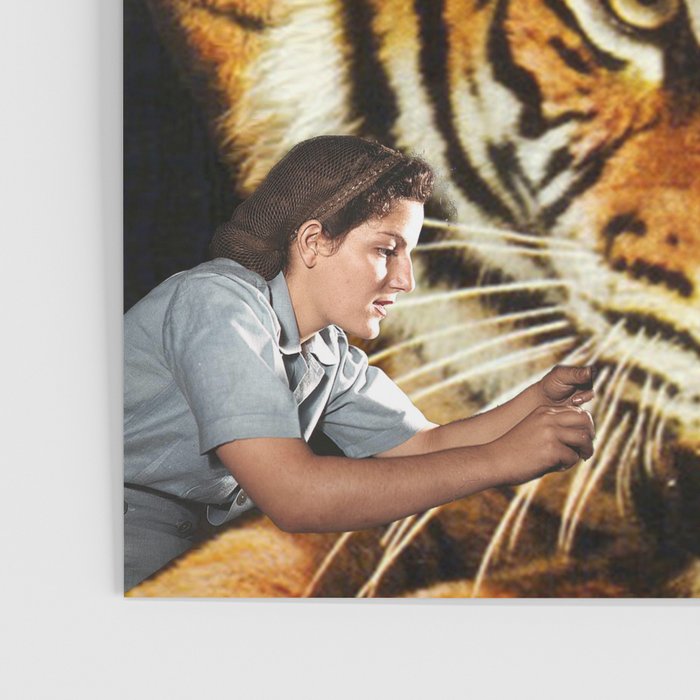 The Making of a Tiger Poster Gallery Image 3
