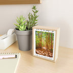 John Muir-And Into The Forest I Go To Lose My Mind And Find My Soul Mini Art Print Gallery Image 2