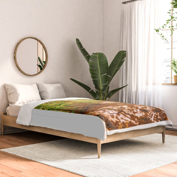 John Muir-And Into The Forest I Go To Lose My Mind And Find My Soul Comforter Gallery Image 2