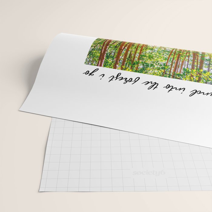 John Muir-And Into The Forest I Go To Lose My Mind And Find My Soul Wrapping Paper Gallery Image 2