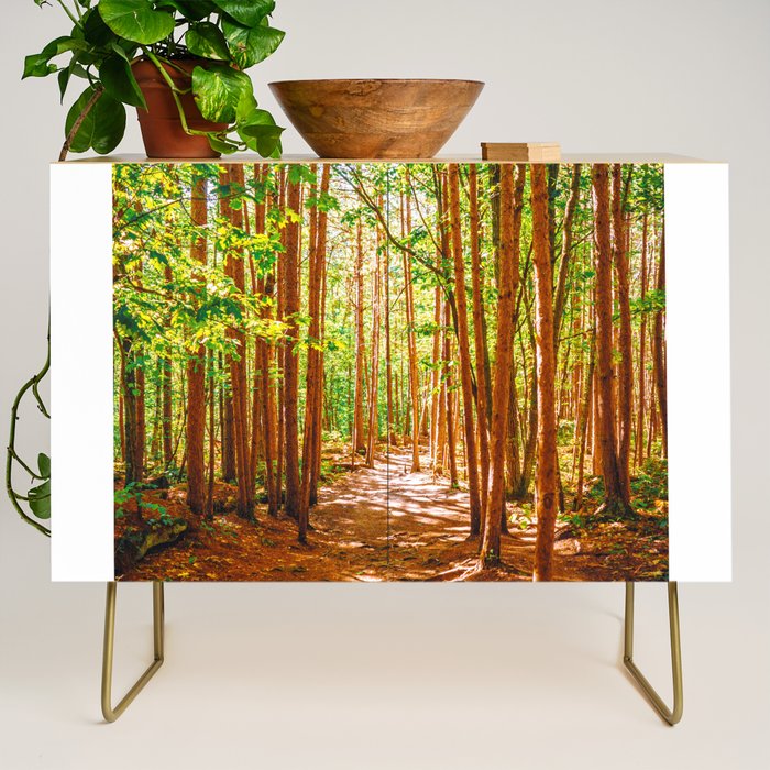 John Muir-And Into The Forest I Go To Lose My Mind And Find My Soul Credenza Gallery Image 1