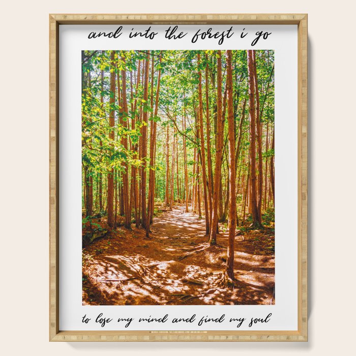 John Muir-And Into The Forest I Go To Lose My Mind And Find My Soul Serving Tray Gallery Image 1
