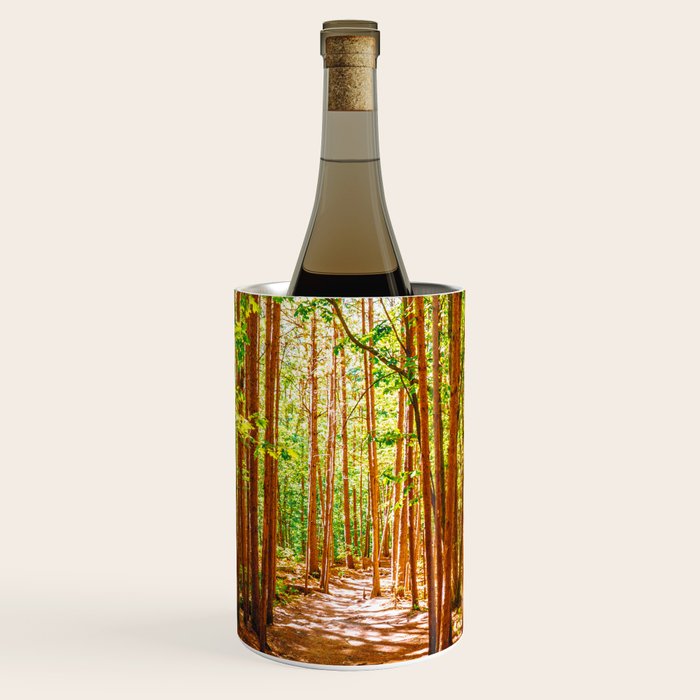 John Muir-And Into The Forest I Go To Lose My Mind And Find My Soul Wine Chiller Gallery Image 1