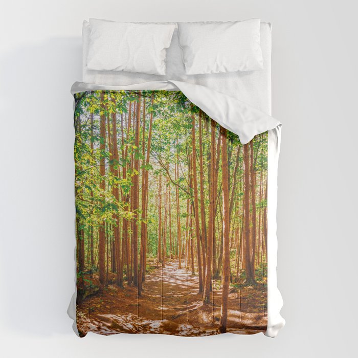 John Muir-And Into The Forest I Go To Lose My Mind And Find My Soul Comforter Gallery Image 1